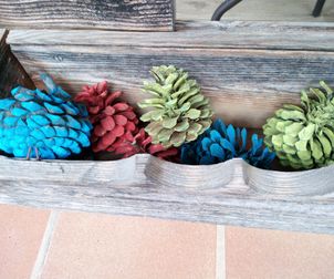 colored pine cones